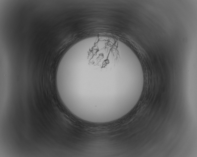 X0000087050696200705160951