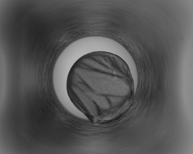 X0000087050699200705160951