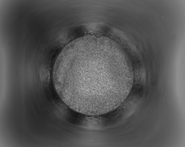 X0000087050703200705160951