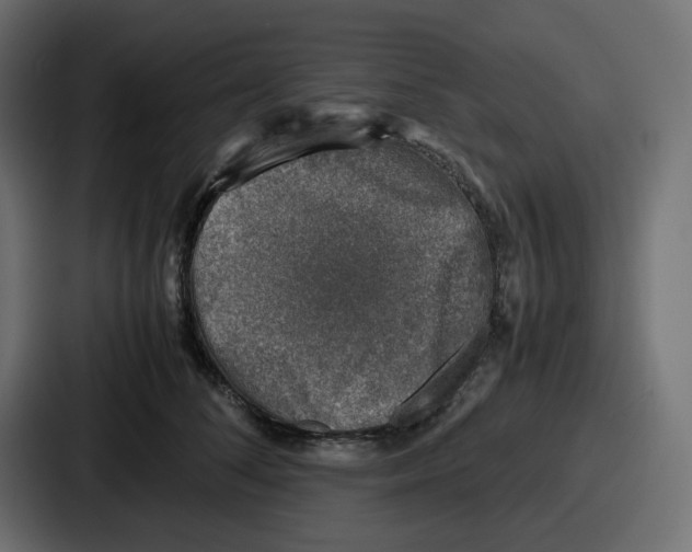 X0000087050708200705160951