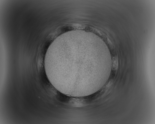 X0000087050713200705160951