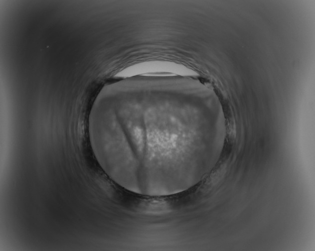 X0000087050715200705160951