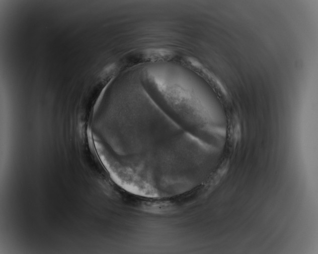 X0000087050716200705160951