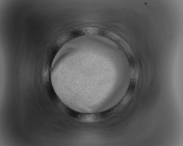 X0000087050717200705160951