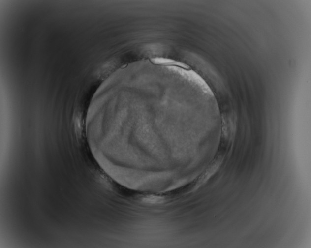 X0000087050718200705160951