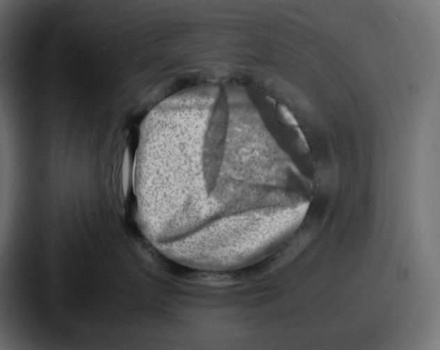 X0000087050719200705160951