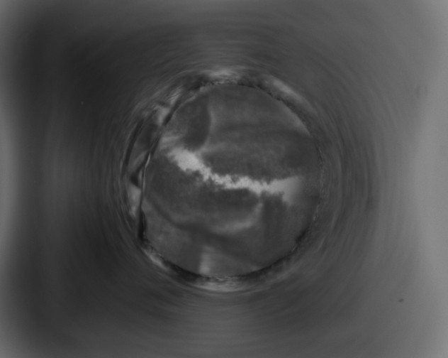 X0000087050720200705160951