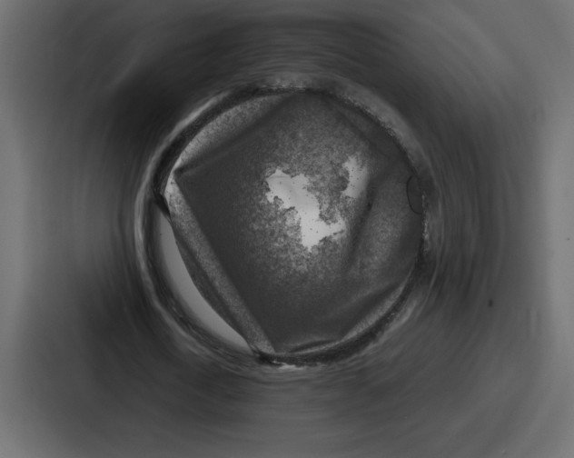 X0000087050722200705160950