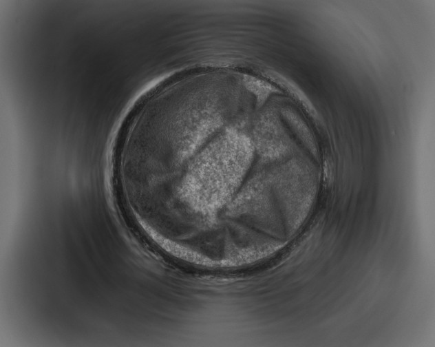 X0000087050724200705160950