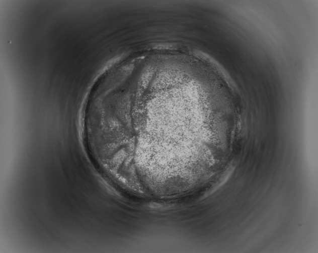 X0000087050725200705160950