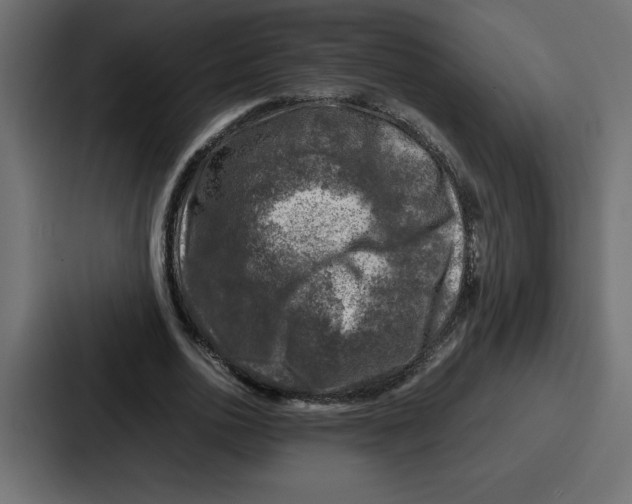 X0000087050726200705160950