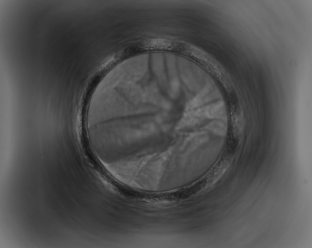 X0000087050729200705160950