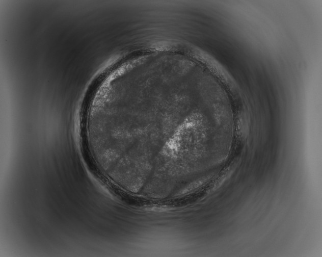 X0000087050730200705160950