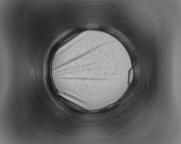 X0000087050732200705160950