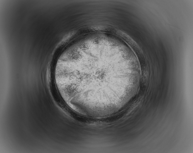 X0000087050734200705160950