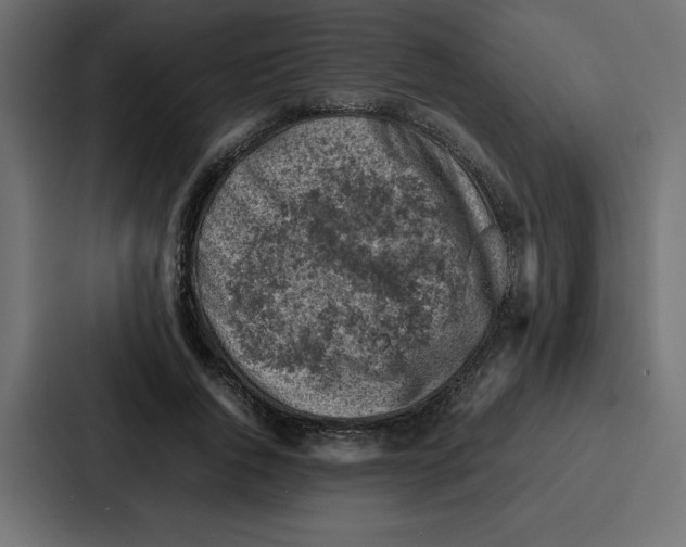 X0000087050736200705160951