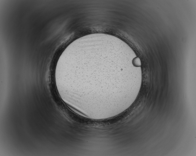 X0000087050738200705160951