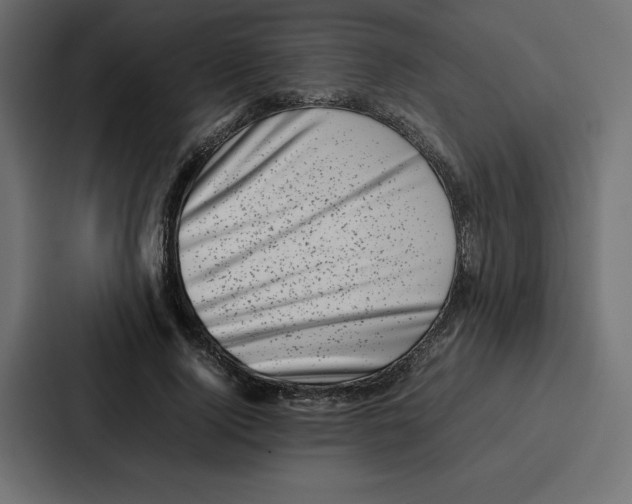 X0000087050740200705160951