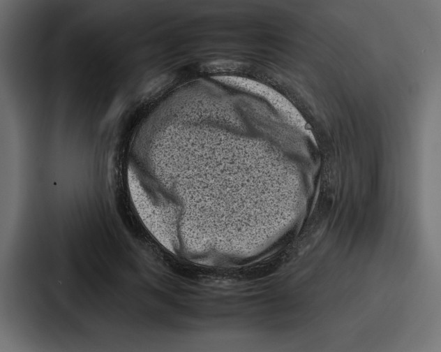 X0000087050743200705160951