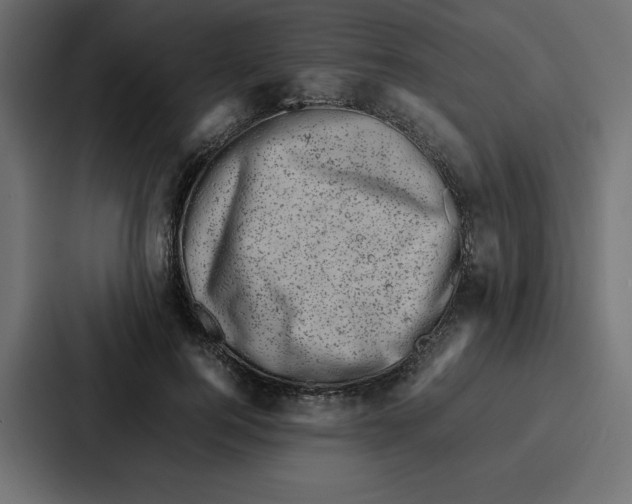 X0000087050744200705160951