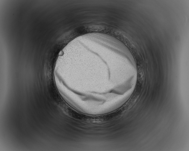 X0000087050745200705160951