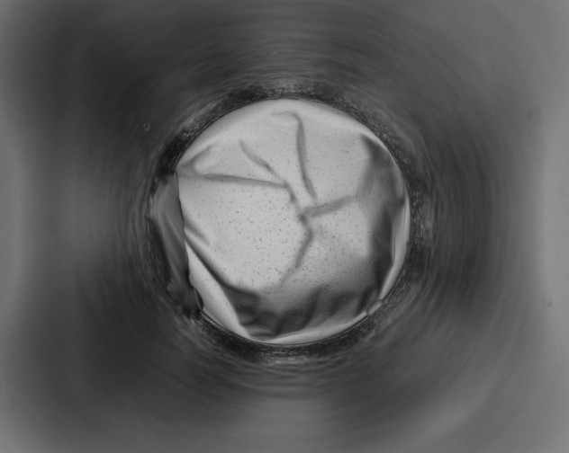 X0000087050746200705160951