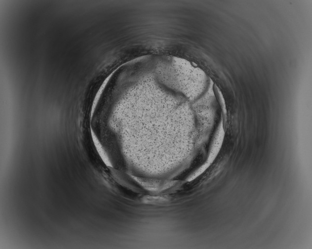 X0000087050750200705160951