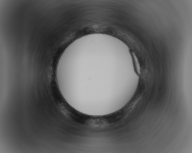 X0000087050752200705160951