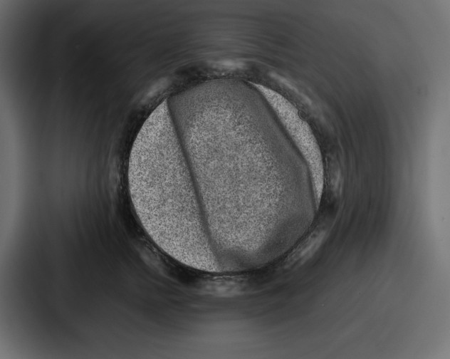 X0000087050758200705160951