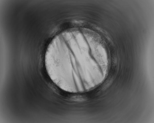 X0000087050759200705160951