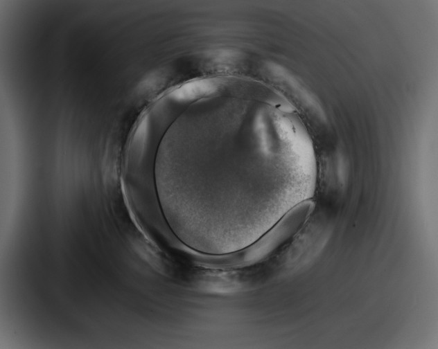 X0000087050760200705160951