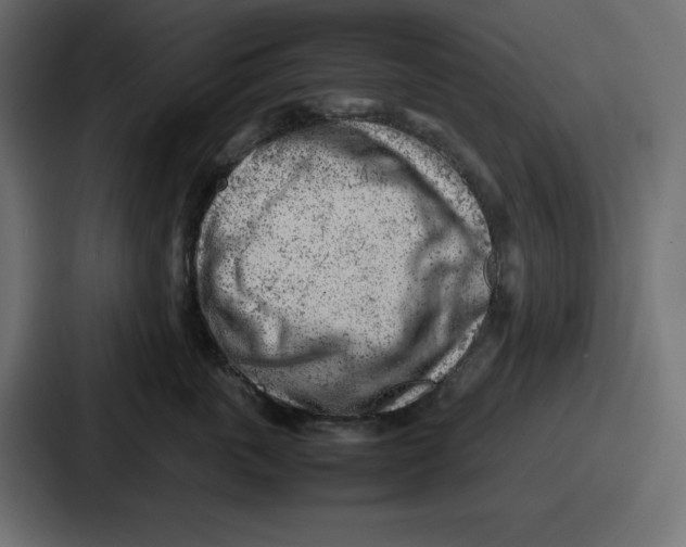 X0000087050763200705160951