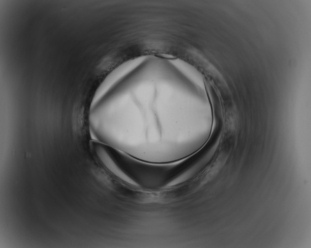 X0000087050764200705160951