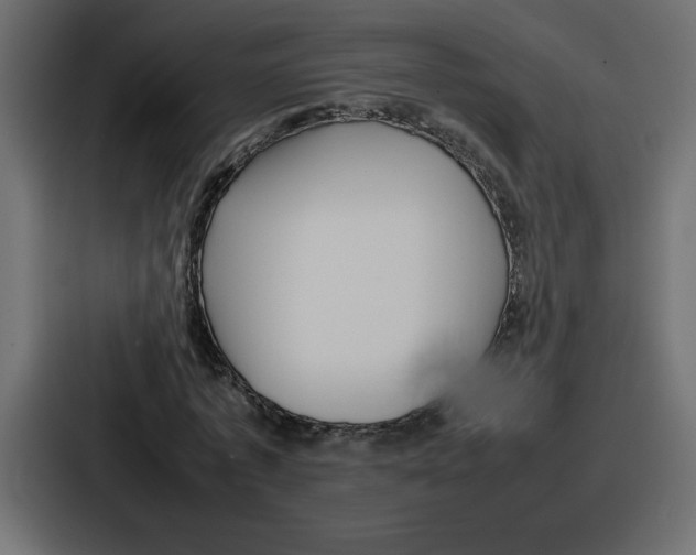 X0000087050773200705160950