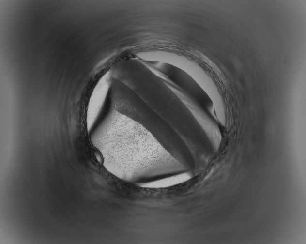 X0000087050775200705160950