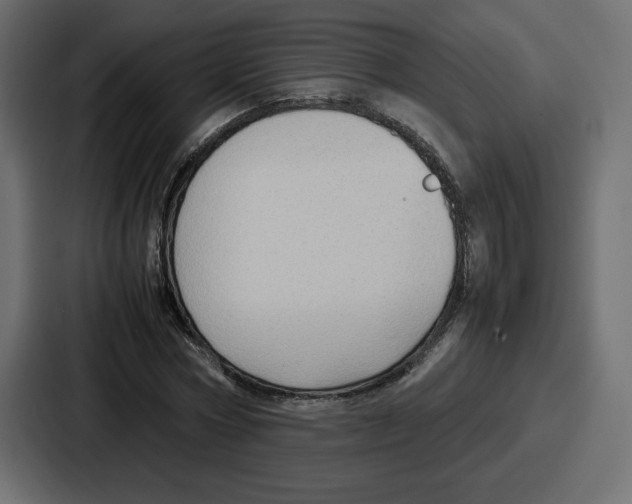 X0000087050778200705160950