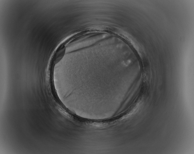 X0000087050779200705160950