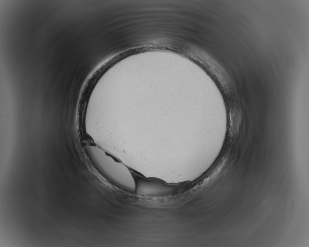 X0000087050780200705160950