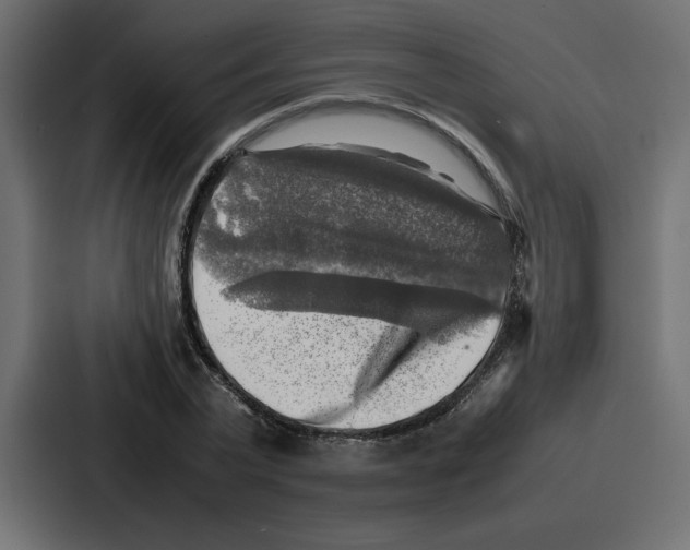 X0000087050783200705160950