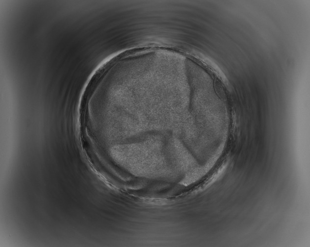 X0000087050784200705160950