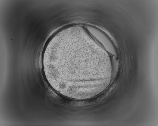 X0000087050791200705160950