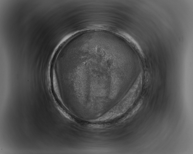 X0000087050792200705160950