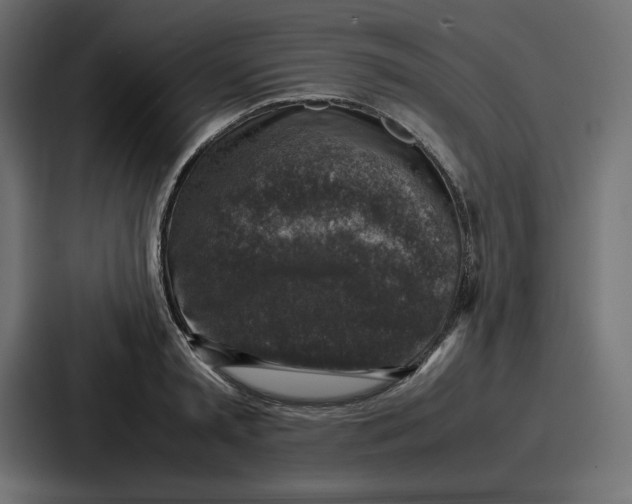 X0000087050797200705160950