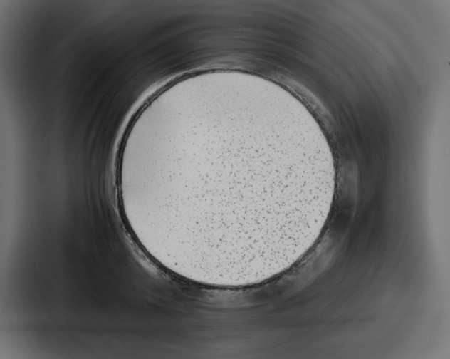 X0000087050800200705160950