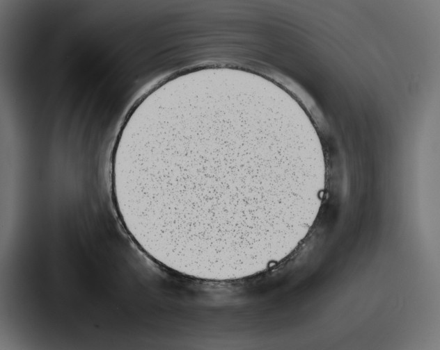 X0000087050807200705160950