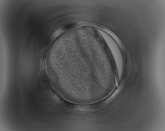 X0000087050809200705160950