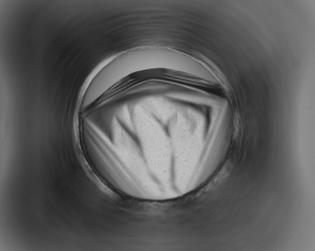 X0000087050812200705160950