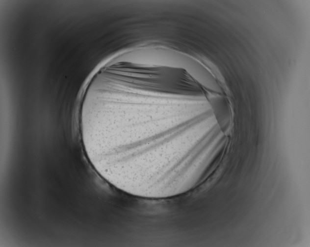 X0000087050816200705160950