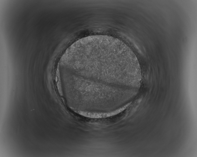 X0000087050817200705160949