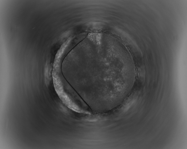 X0000087050818200705160949